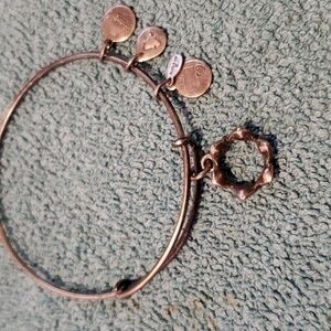 Alex & Ani Bangle Bracelet